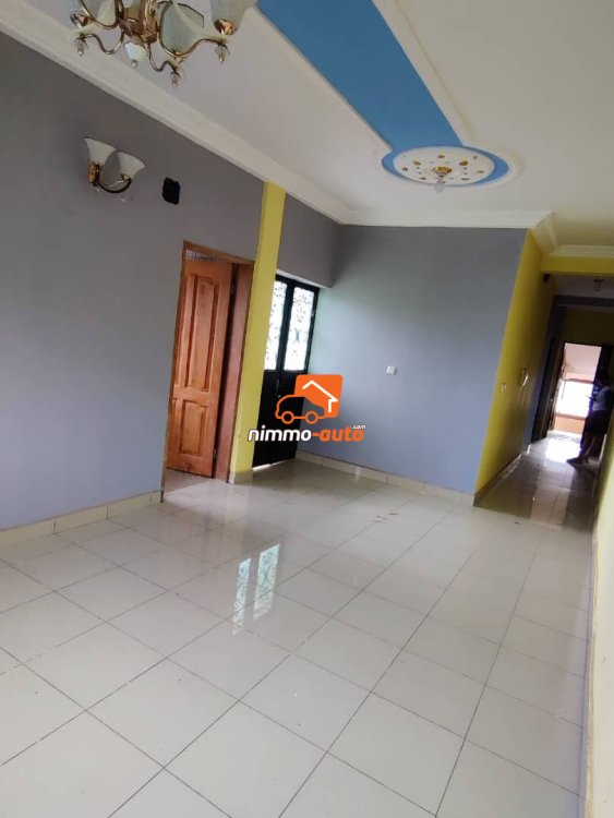 Appartement à louer à Olembe