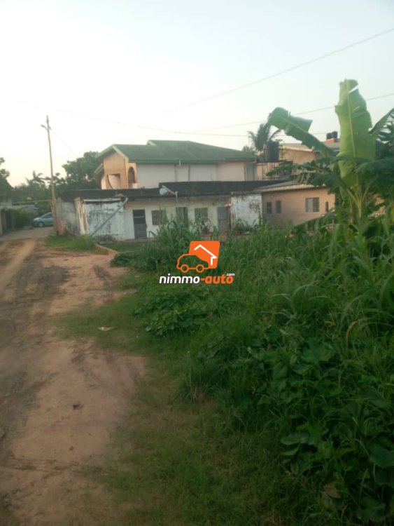 Terrain à vendre à Bangue à Douala