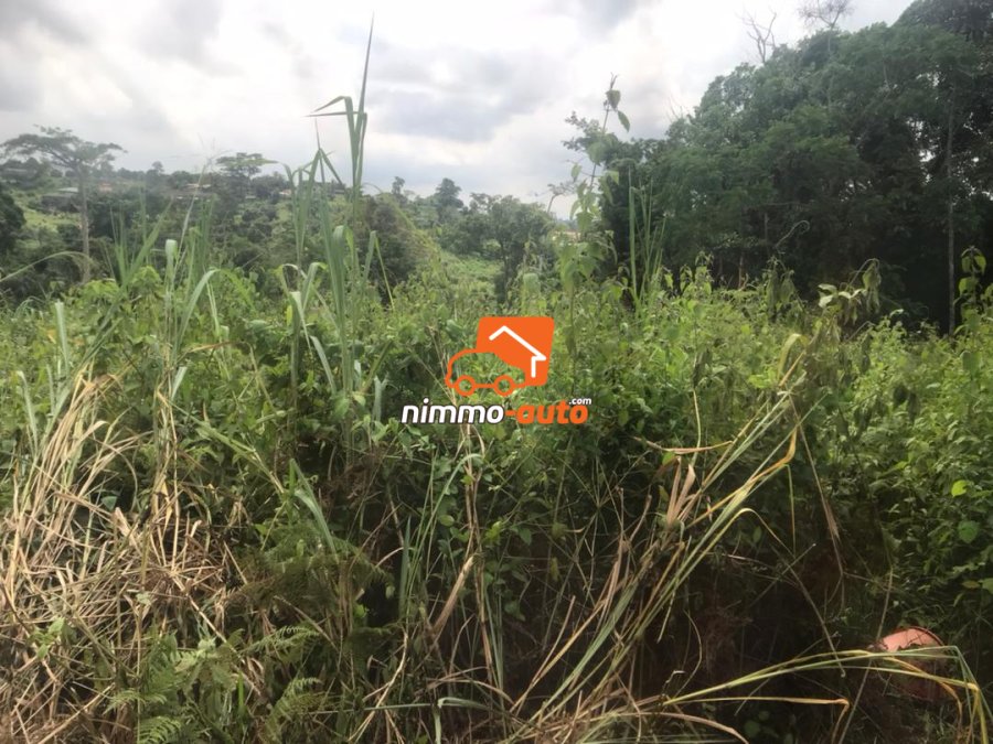 Terrain à vendre à Nsimalen