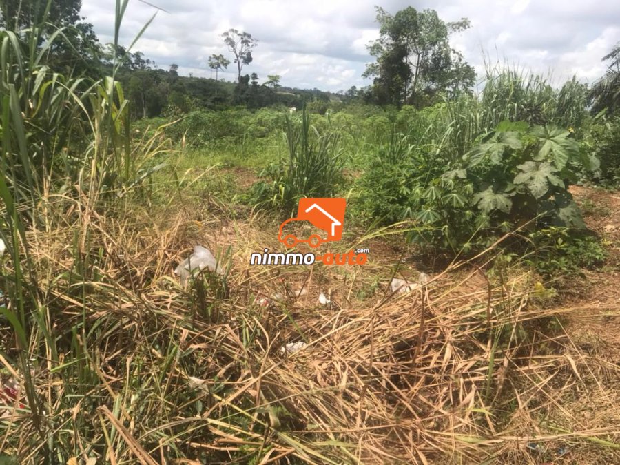 Terrain à vendre à Nsimalen