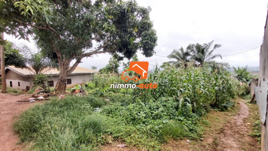 Vaste Terrain de 1.000m² à vendre à Mbalgong