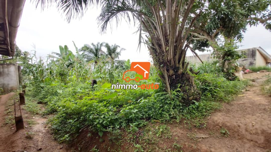 Vaste Terrain de 1.000m² à vendre à Mbalgong