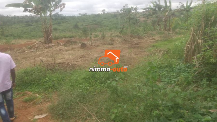 Terrain à vendre à Nkoabang