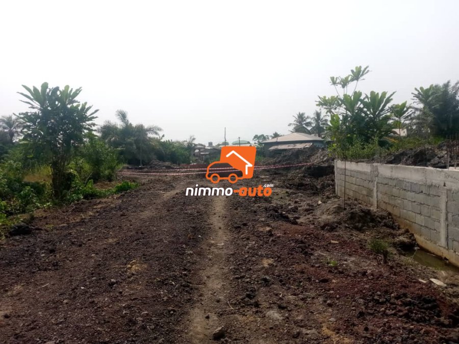 Terrain à vendre à Bonaberi