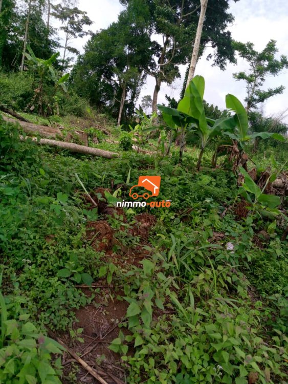 Terrain titré à vendre à Eyang