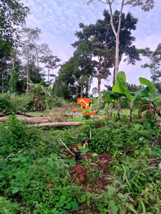 Terrain titré à vendre à Eyang