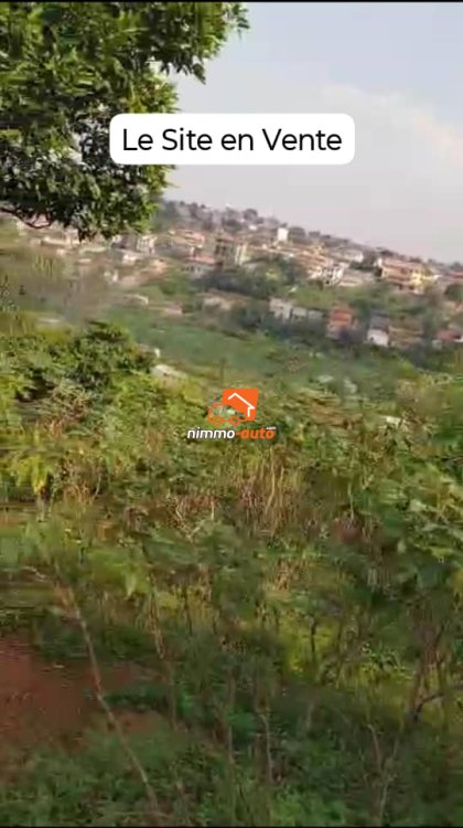 02 Lots de Terrain Titré Jumelé en 1200m² à vendre à Mvan