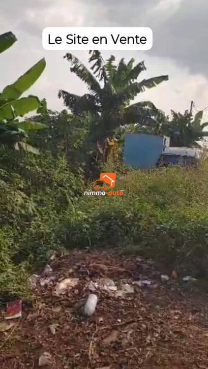 02 Lots de Terrain Titré Jumelé en 1200m² à vendre à Mvan