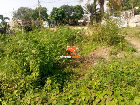 Terrain à vendre à Bojongo à Douala