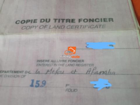 Terrain titré à vendre à Nsimalen benebalot