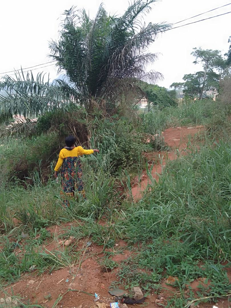 Terrain à vendre à Nkolbison