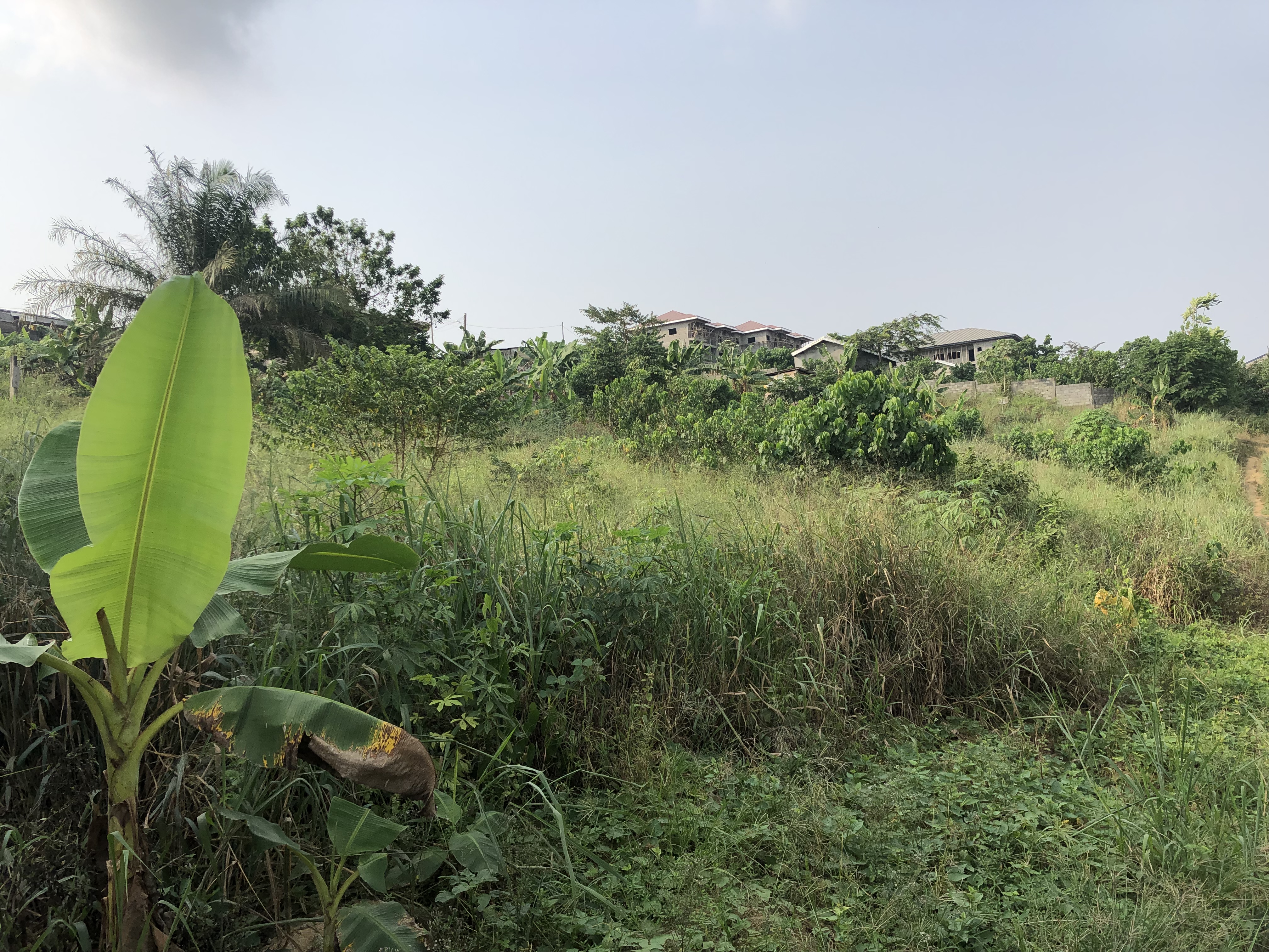 Terrain à vendre à Lendi