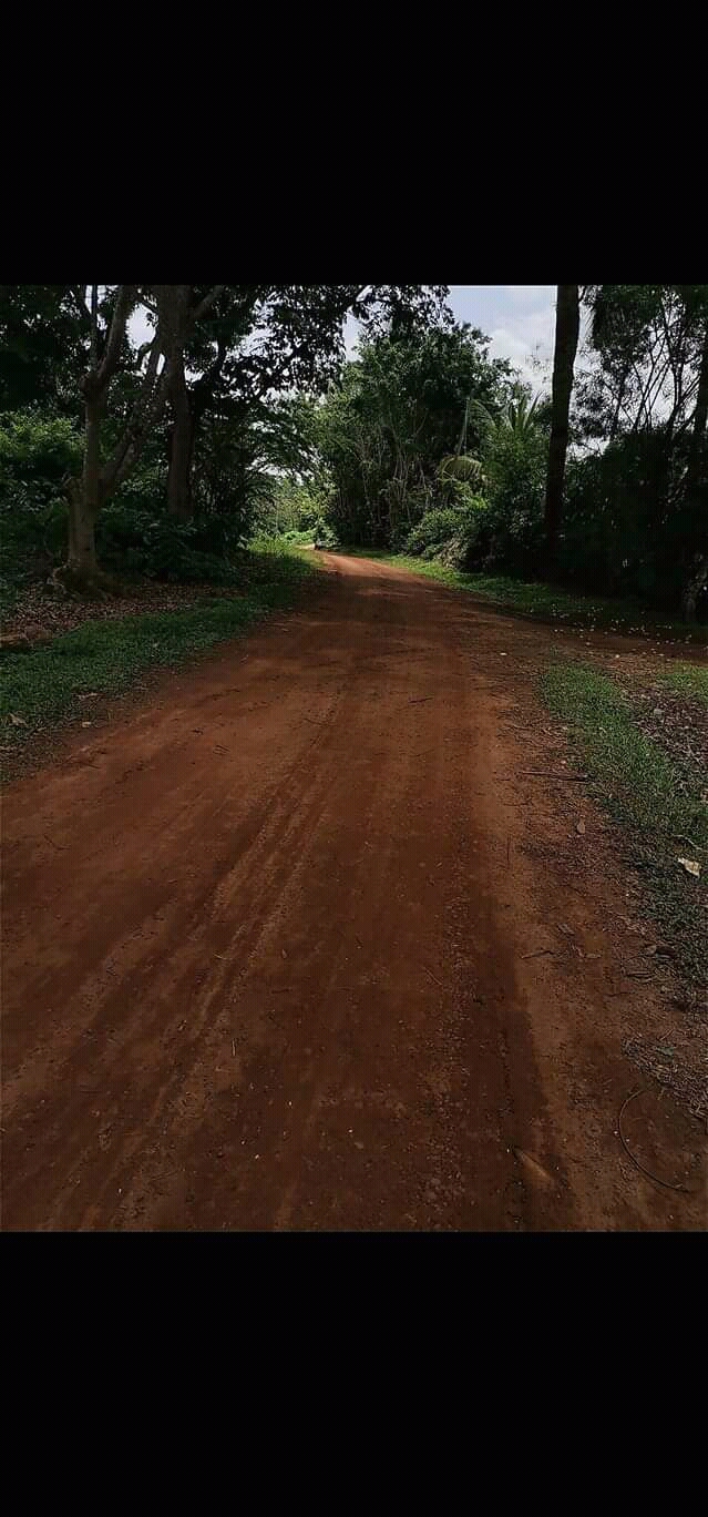 Terrain titré et loti à vendre a biteng