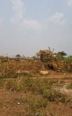 Terrain commercial à vendre à Ekounou