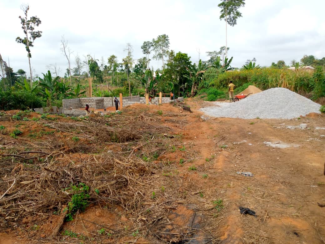 Terrain titré a vendre a eloumden 2 avant le collège st Fernand
