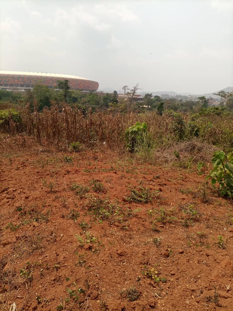 Terrain à vendre a olembe avec vue sur le stade