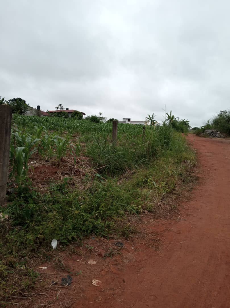 Terrain titré à vendre à Nkolnda
