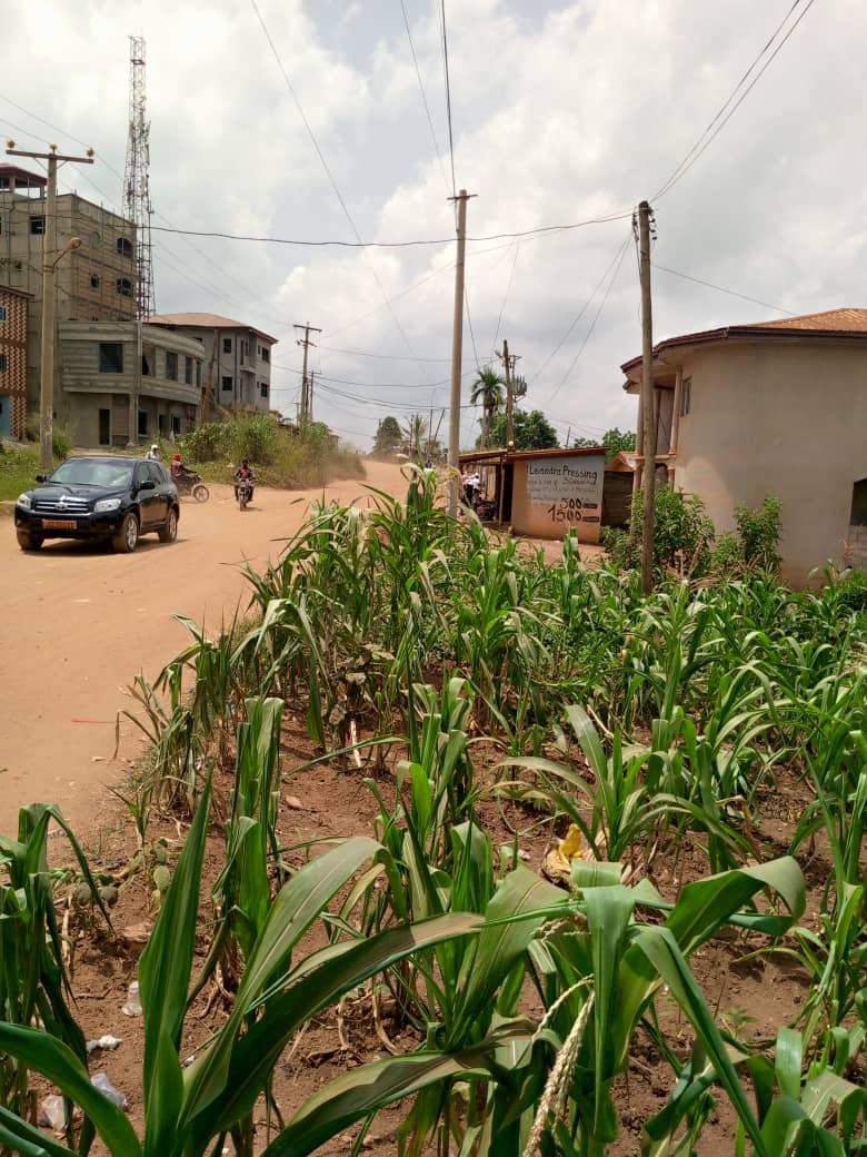 Terrain magnifiquement situé à Odza borne 12 en vente