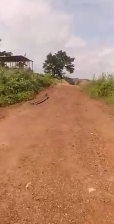 Terrain a vendre pk 21