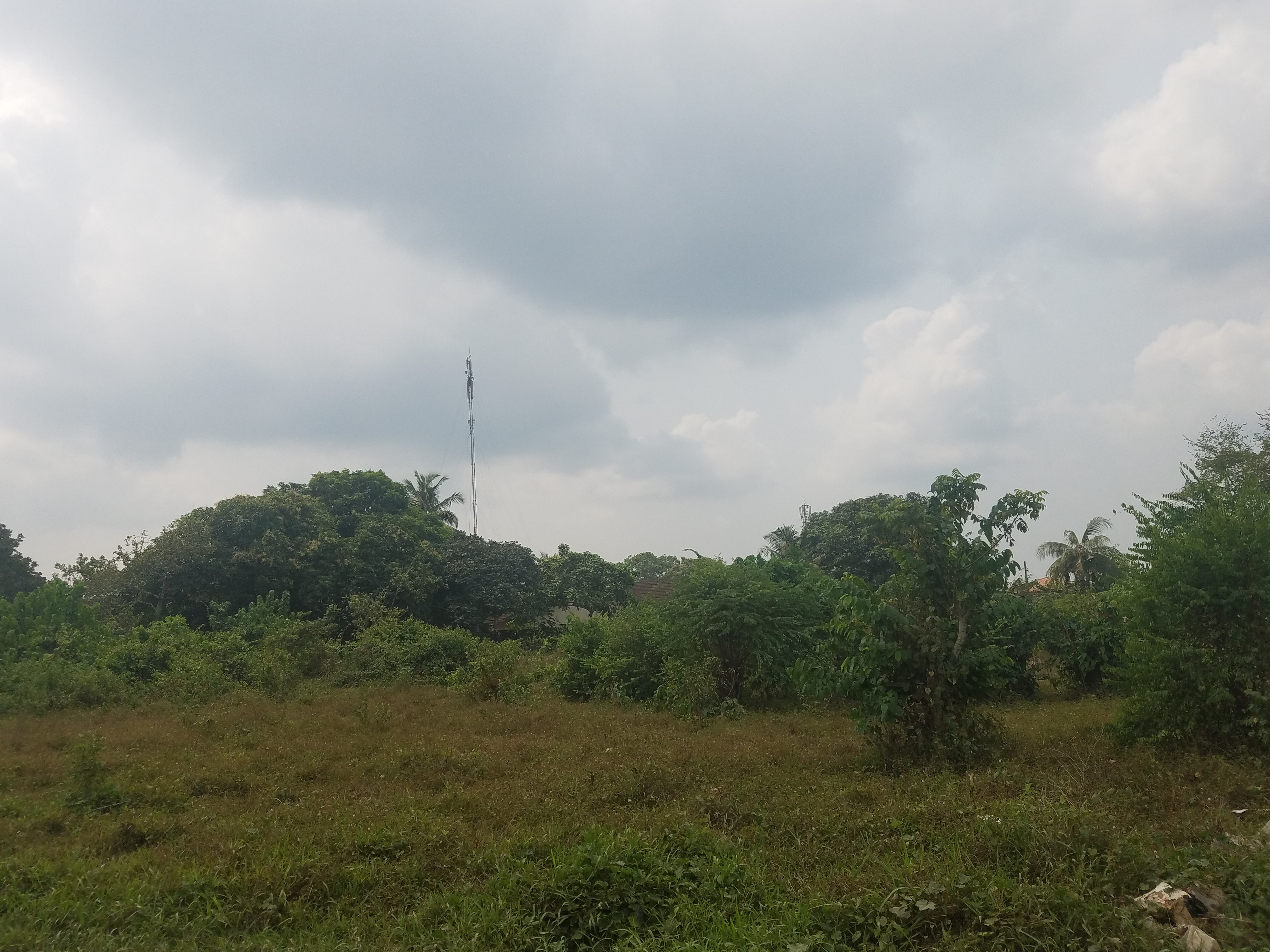 Terrain à vendre à Bonabéri