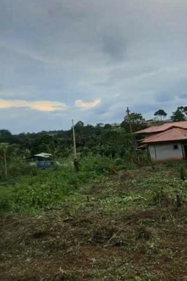 Terrain à vendre Nsimalen Odza