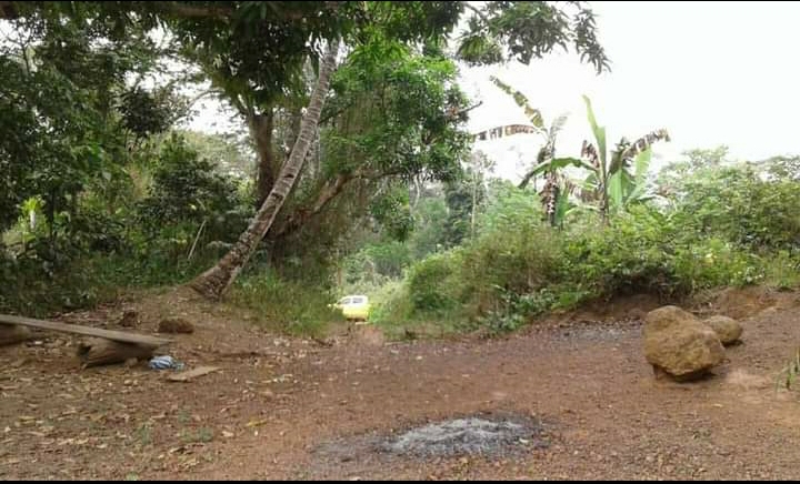 Terrain à vendre sur la route de mfou