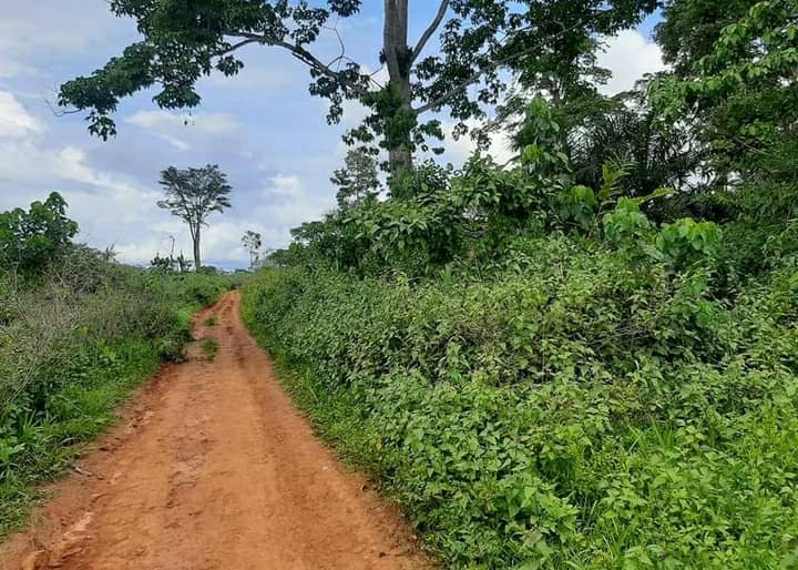 Terrain commercial à vendre au quartier Eleveur