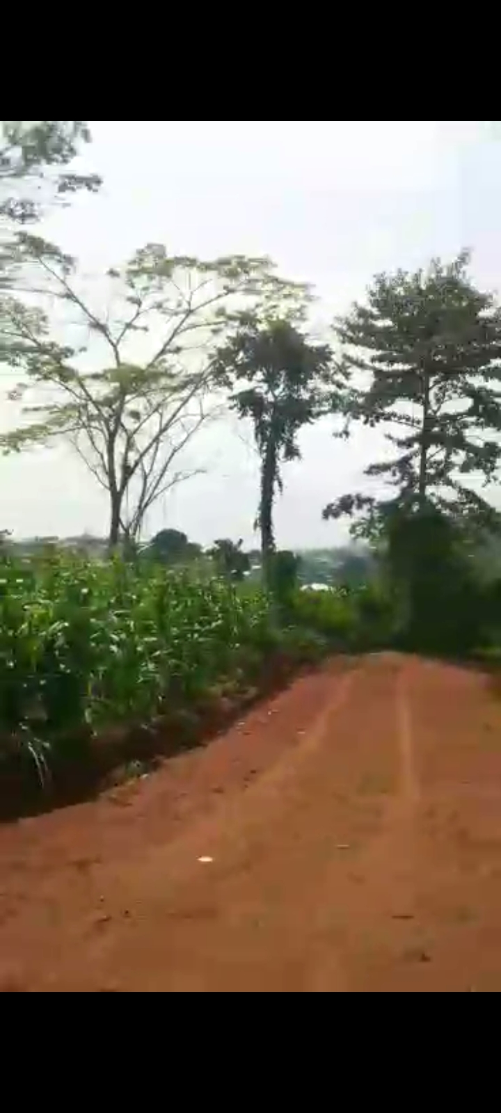 Terrain à vendre à Nkozoa entrée dispensaire