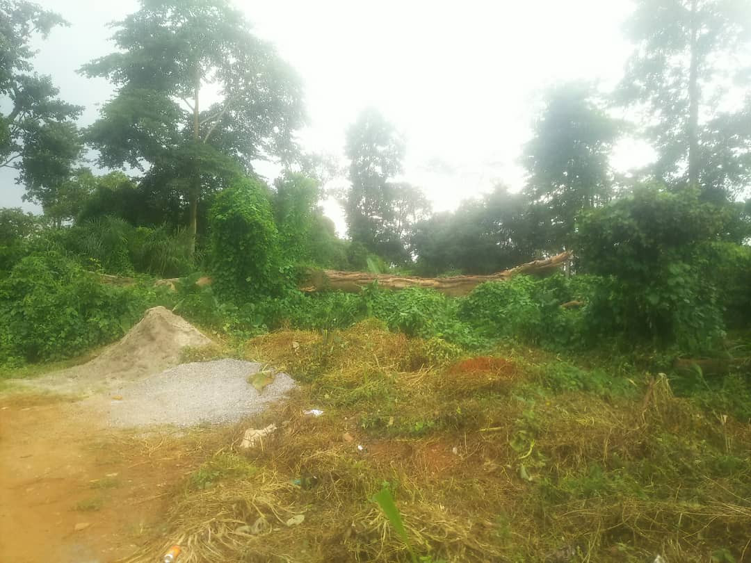 Terrain à vendre à SOA derrière l'église catholique
