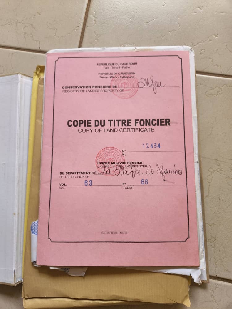 Terrain titré et bien placé à vendre à Nkolnda