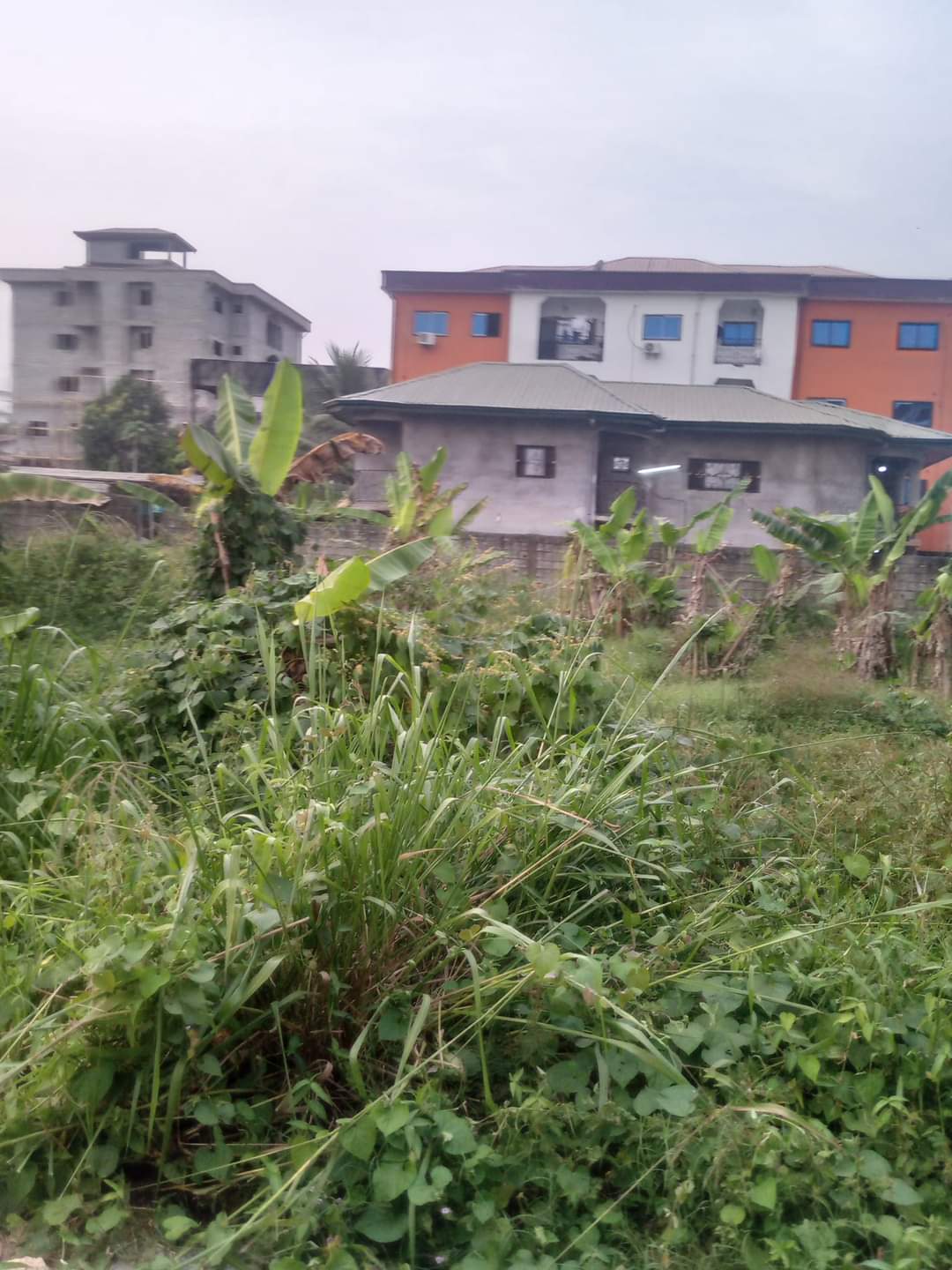 terrain titré à vendre à Yassa